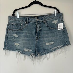 Urban Outfitters Light Blue Ripped Jean Shorts